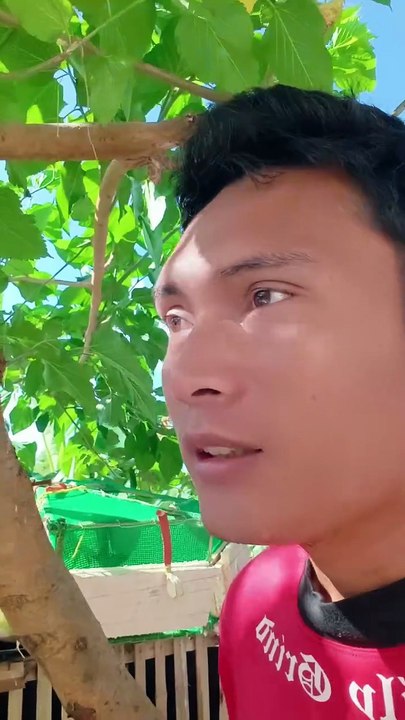 I have 3 Joke