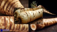 Raw Root Vegetable Parsnip Detailed Texture #artcompareblog