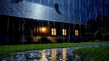 One hour of pure rain therapy 🌧️ #RelaxationTime #SleepWell