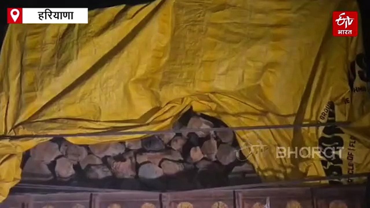 यमुनानगर के जगाधरी में सीएम फ्लाइंग की रेड, बंद फैक्ट्री से अवैध खैर की लकड़ी बरामद, आरोपी फरार