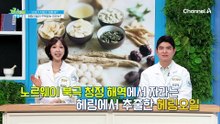 콜레스테롤 배출을 돕고 혈관 속 환경을 정리를 도와주는 바다의 다이아몬드 '헤링오일'