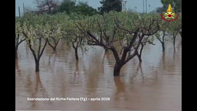 Maltempo nel foggiano, esondato anche il Fortore: allerta rossa sul fiume