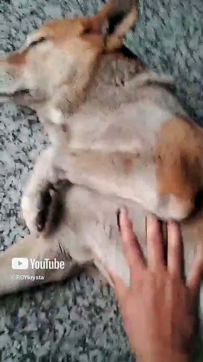 WhatsApp Video 2026 01 07 at 1 52 55 AM