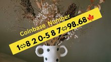 +++99^++Full List of [[Coinbase customer ]] care® Contact Numbers in the U=S=A
