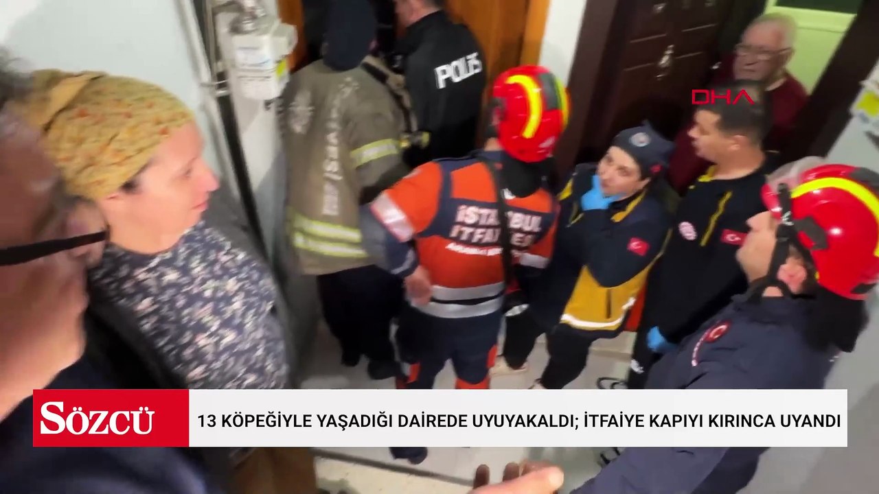 Avcılar'da 13 köpeğiyle yaşadığı dairede uyuyakaldı; itfaiye kapıyı kırınca uyandı