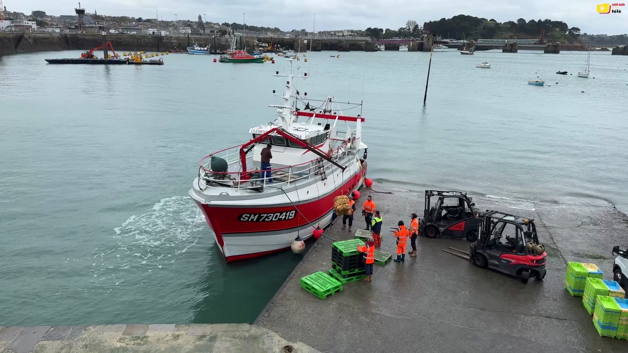 Saint-Malo   | Pêche Coquille Saint-Jacques | Saint-Malo Bretagne Télé