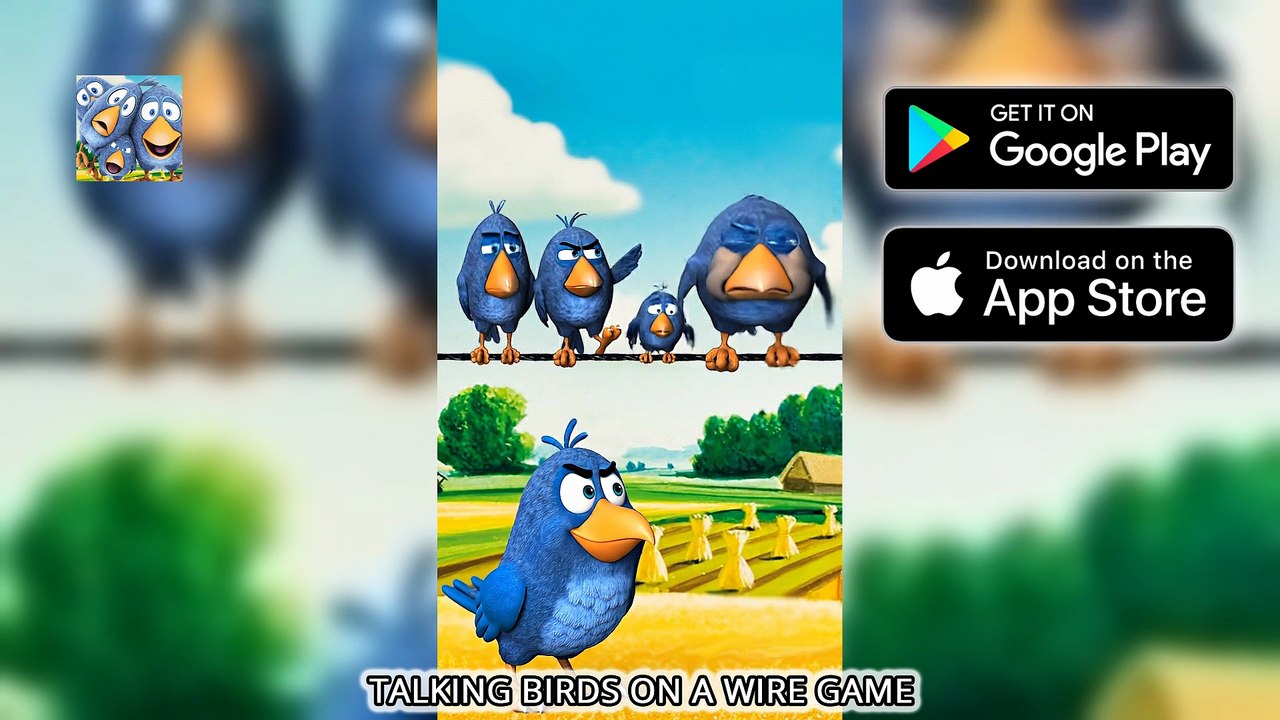Best Pranks & Jokes! 🤣 Funny Talking Birds On A Wire Compilation