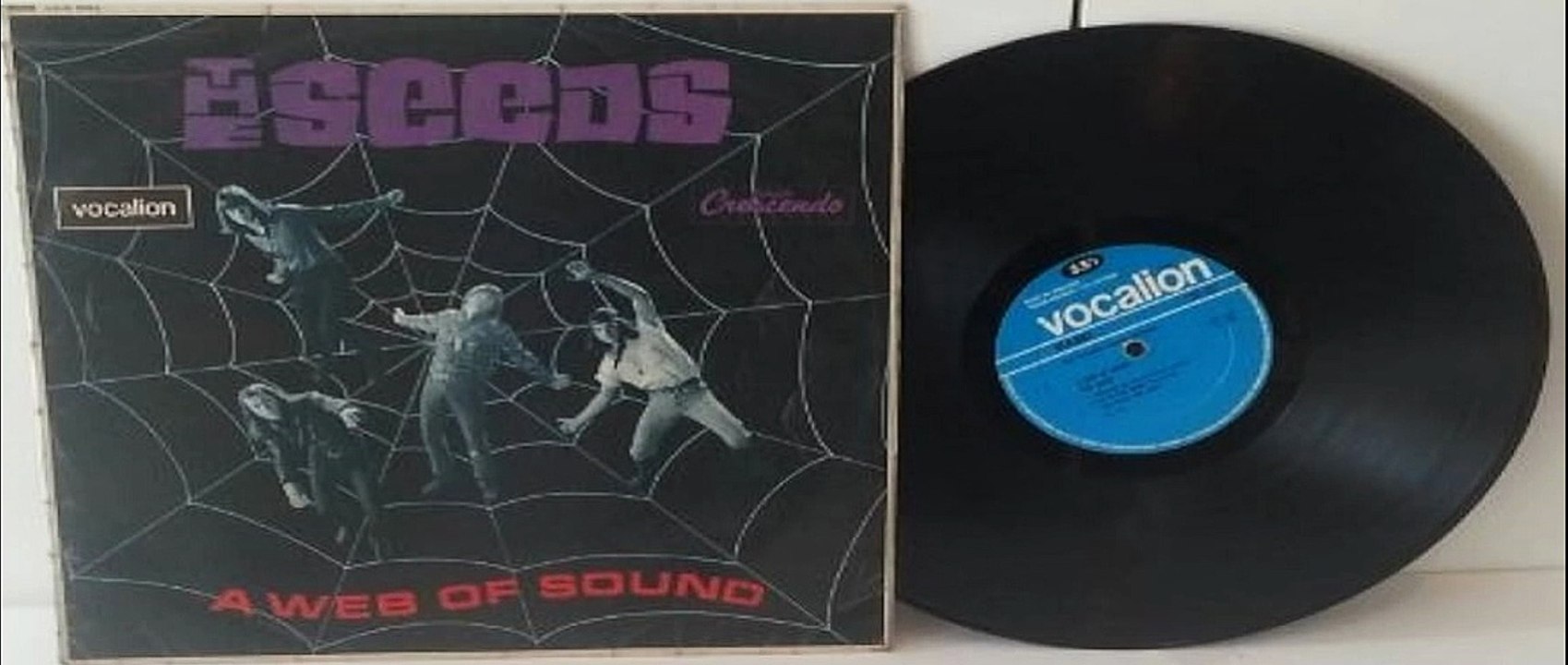 THE SEEDS&A WEB OF SOUND ガレージパンク洋楽CD シード 【公式通販】