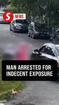 Man nabbed in JB for indecent exposure towards minors