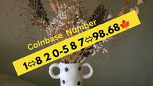 Full_List_Of_Coinbase_Wallet_Support_USA_Contact_Numbers