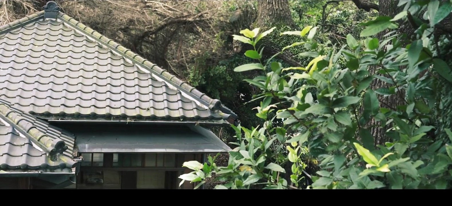 Where The River Flows 2025