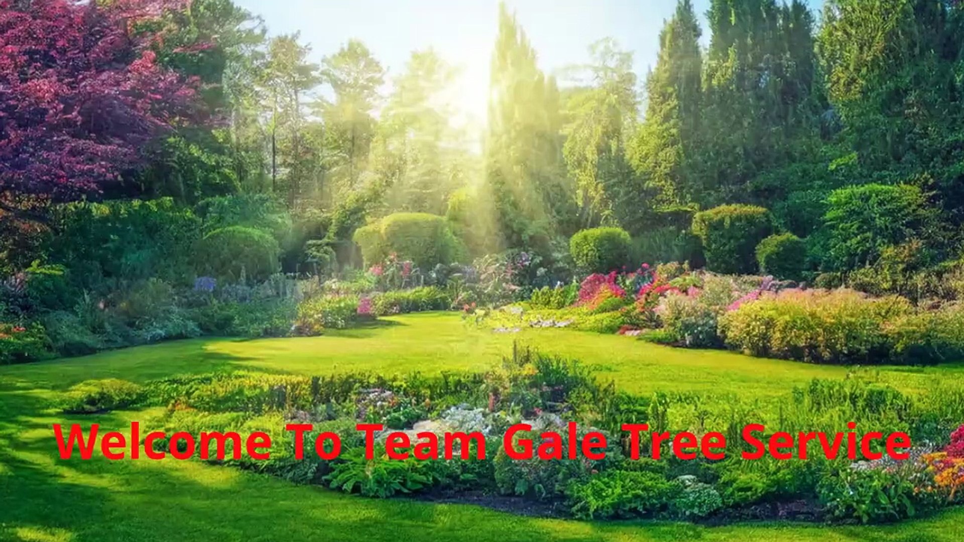 Team Gale Tree Service - Best Tree Removal in Cinnaminson, NJ