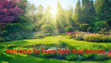 Team Gale Tree Service - Best Tree Removal in Cinnaminson, NJ