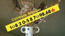 ≋ ¶ 《Immediately》】 ⁂Coinbase® Customer Care© helpline® Numbers Contact⁂ (24/7) Live Person Care)