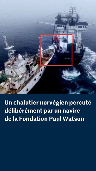 Un navire de la Fondation Paul Watson a percuté délibérément un chalutier norvégien en Antarctique