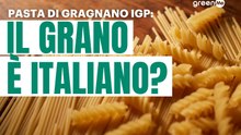Pasta di Gragnano: perché il bollino IGP non garantisce grano italiano?