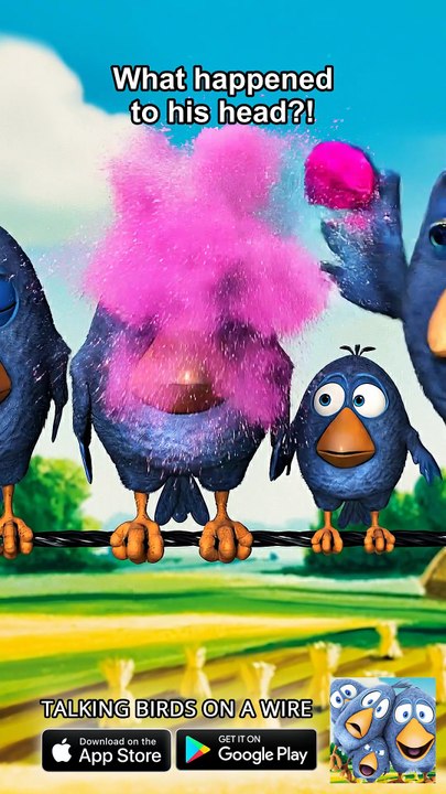 What happened to his head?! 😱 Talking Birds On A Wire Game