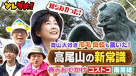 ソレダメ！ ～あなたの常識は非常識！？～ 高尾山＆コストコ＆南房総！今行くと超お得！春のおでかけ新常識SP - 2026年04月02日