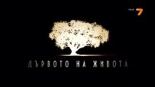 Дървото На Живота 1 Епизод 8