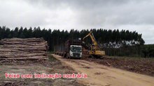 DTO