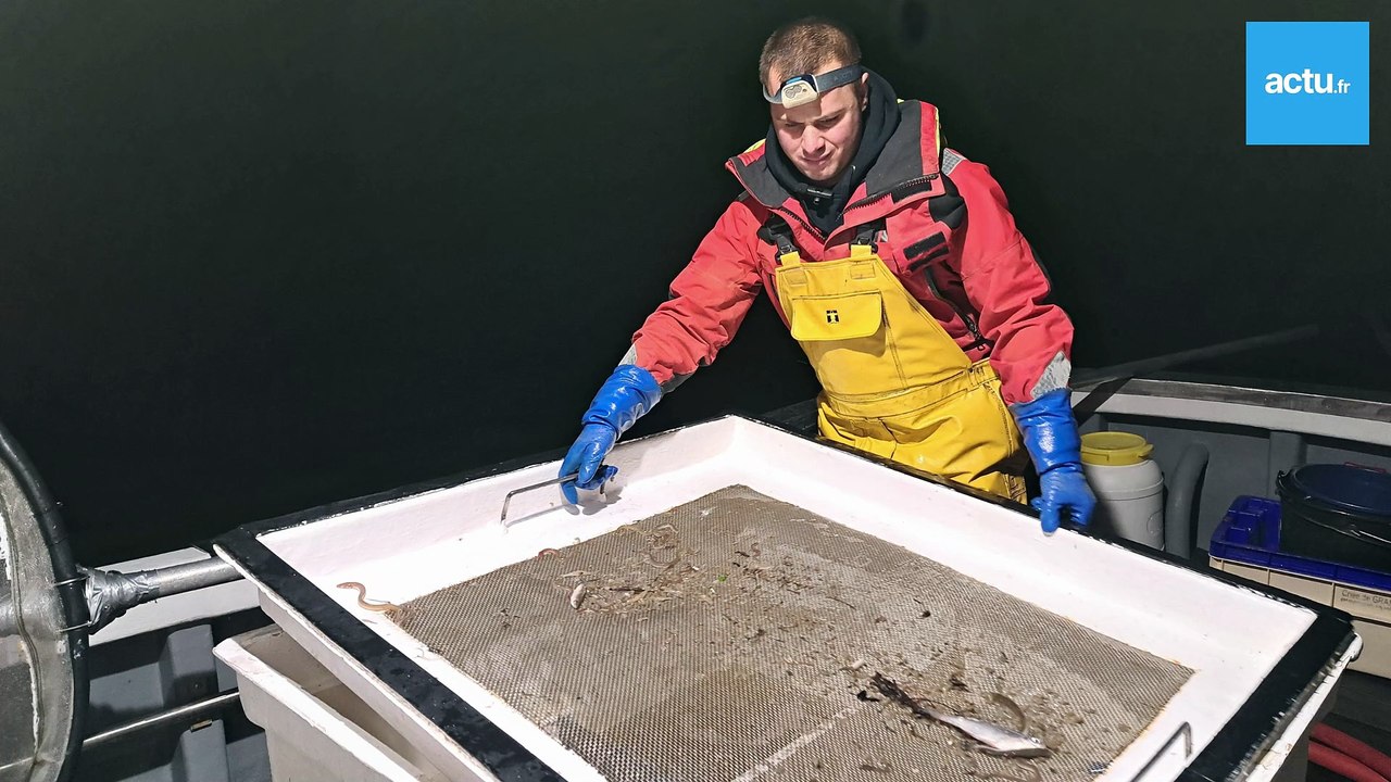 Portrait et interview d'Alexis Baumal, pêcheur de civelles