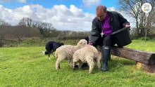 Bishop Mike's Easter message recorded on a Mid Devon farm, Diocese of Exeter