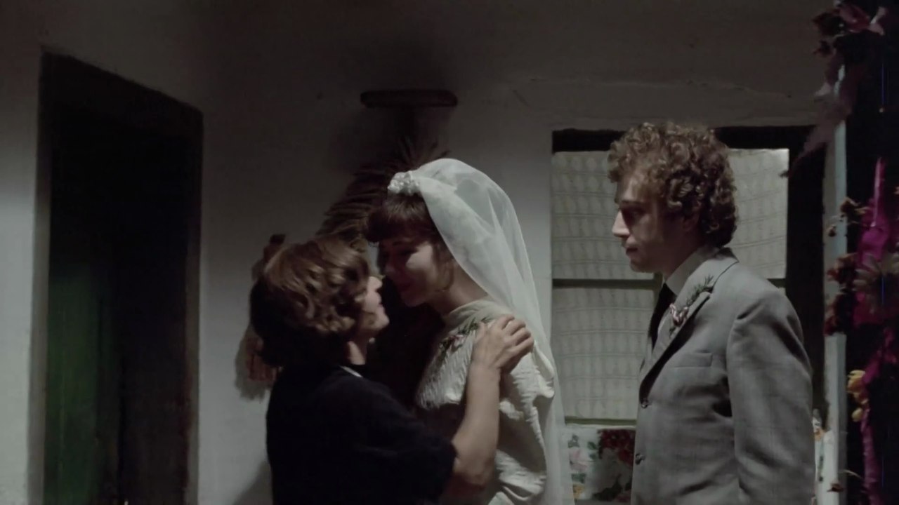 Čuvar plaže u zimskom periodu (1976) domaći film