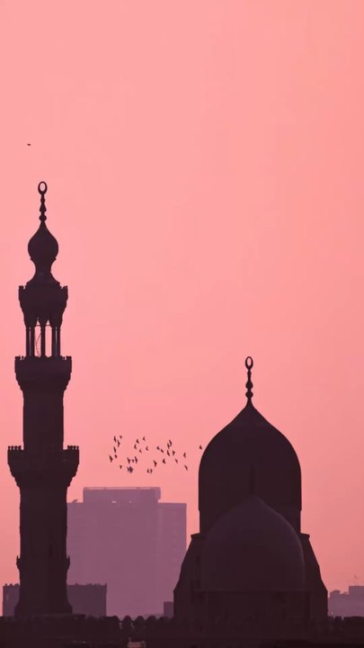 Tu cherches une personne de confiance, formée et certifiée pour une hijama en IDF, ne cherche pas plus loin 🌸Séance ponctuel ou suivi, réserve au plus vite pour prendre soin de toi selon les recommandations de notre prophète صلى الله عليه وسلم ✨