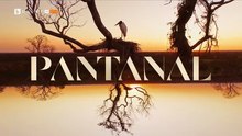 Пантанал 1 Епизод 5