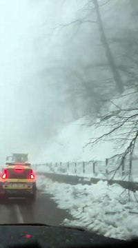 Image from field_mediaid