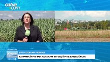 Cascavel ainda não tem registro de estiagem severa