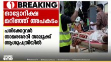 താമരശ്ശേരിയിൽ കാട്ടുപന്നിയിടിച്ച് ഓട്ടോ മറിഞ്ഞു; 8 മാസം പ്രായമായ കുഞ്ഞടക്കം 5 പേർക്ക് പരിക്ക്