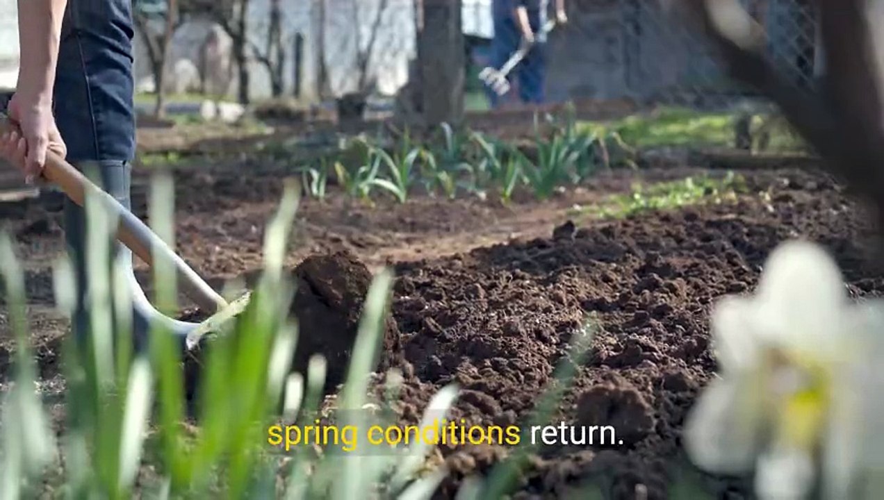 Why Patchy Lawn Repair Matters After Winter Damage
