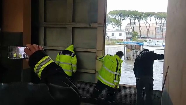 Image from field_mediaid