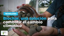 Biochar, una solución para combatir el cambio climático