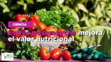 Estrés postcosecha mejora el valor nutricional
