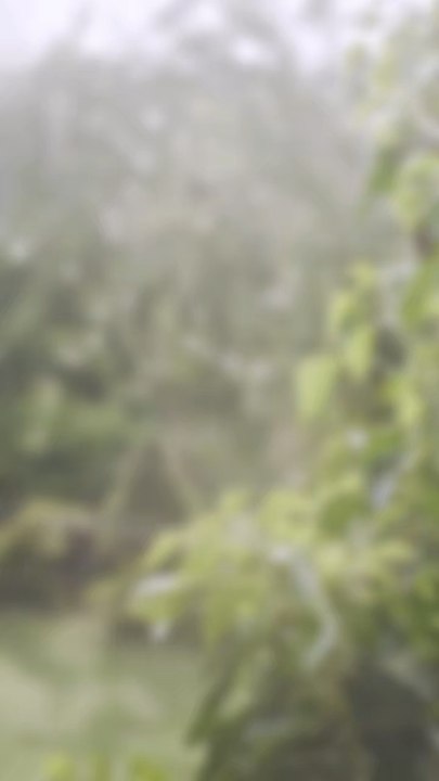 La pluie tombe dehors… et parfois, quelque chose en nous s’apaise aussi. 🤍