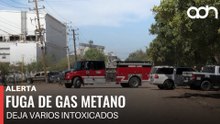 🚨¡Última Hora! Fuga de gas metano en Ciudad Obregón deja trabajadores intoxicados