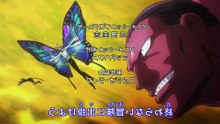 Hunter x Hunter Anime - Arco del Despertar del Rey - Ep 92