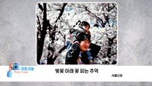 [포토오늘] 벚꽃 아래 꽃 피는 추억 / YTN