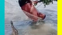¡Visita incómoda! Cocodrilo arruina descanso de este vacacionista