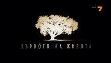 Дървото На Живота 1 Епизод 12