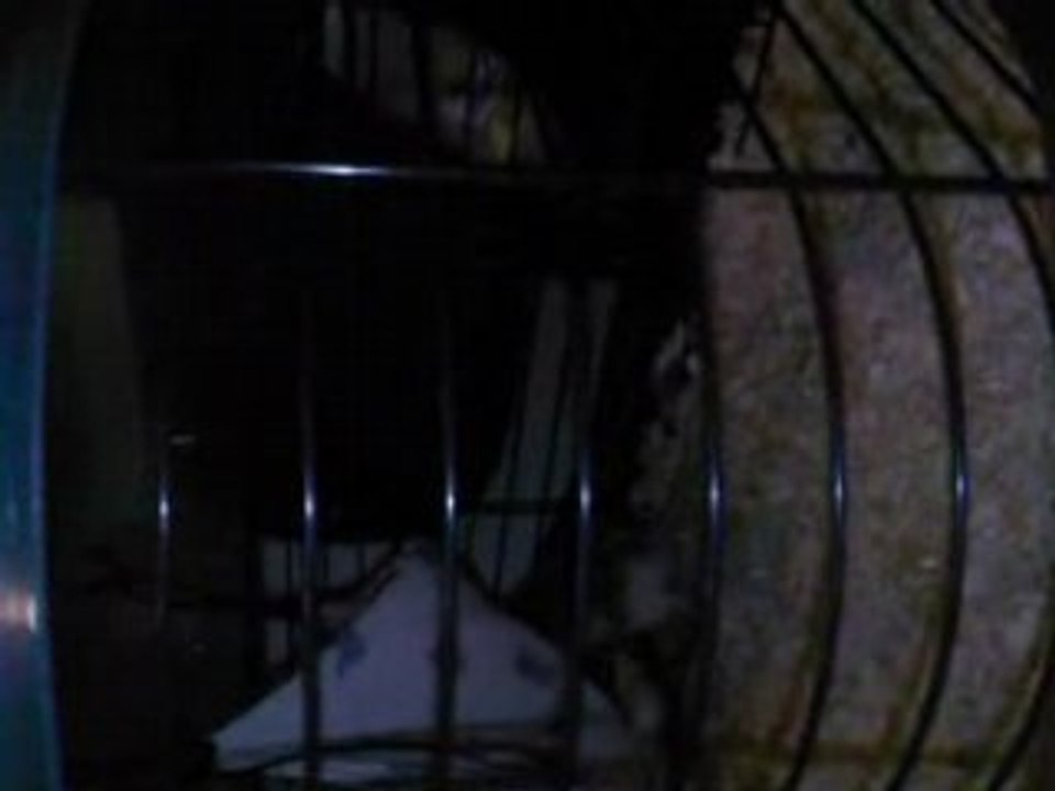 winni va au dodo a 23h20 !!!!