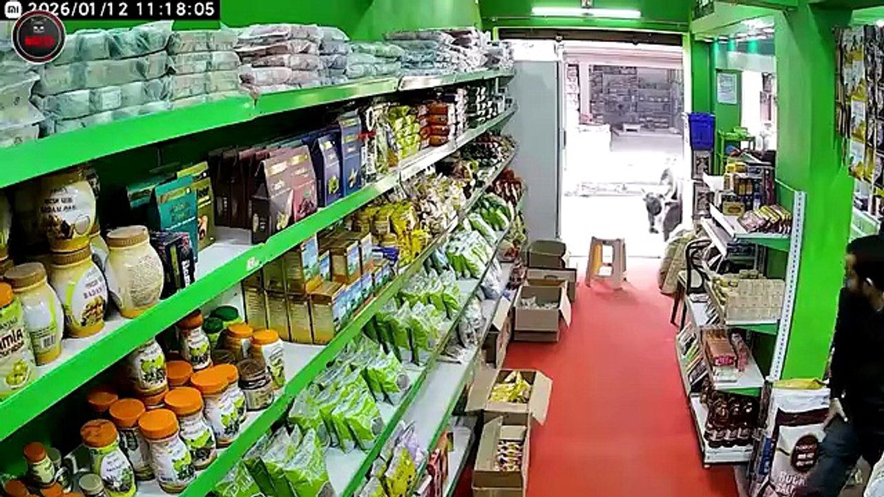 Real-Life Shocking Moments Caught on CCTV