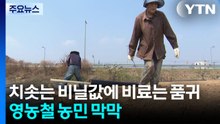 치솟는 비닐값에 비료는 품귀...영농철 농민 막막 / YTN