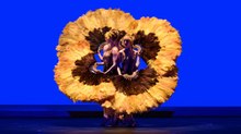 Momix, arriva lo spettacolo «Botanica Season 2»: la magia della natura su musiche di Vivaldi e Peter Gabriel