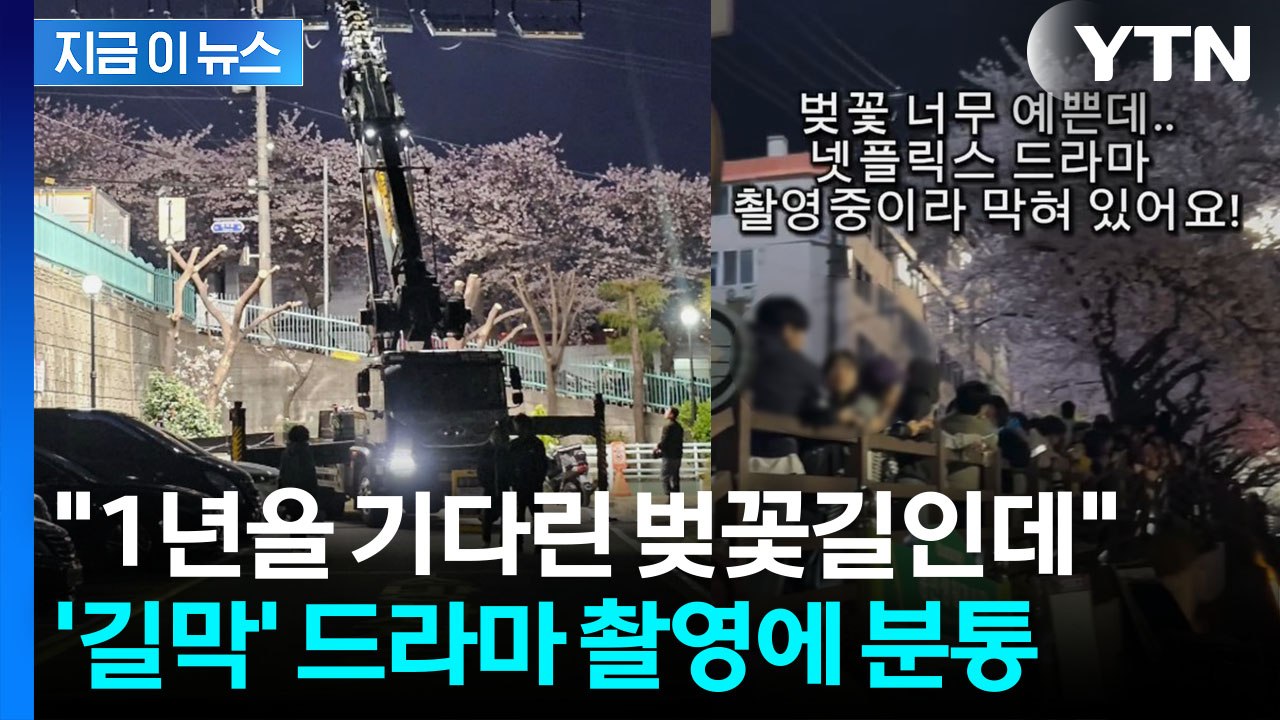"전세 냈냐"...벚꽃길 구경 온 시민들 막은 촬영팀에 논란 일파만파 [지금이뉴스]...