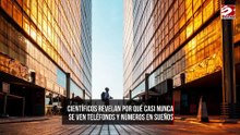 Científicos revelan por qué casi nunca se ven teléfonos y números en sueños
