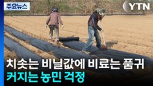 치솟는 비닐값에 비료는 품귀..."농산물 가격 인상 시간 문제" / YTN