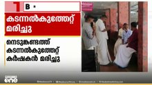 ഇടുക്കിയിൽ നെടുങ്കണ്ടത്ത് കടന്നൽ കുത്തേറ്റ് കർഷകൻ മരിച്ചു